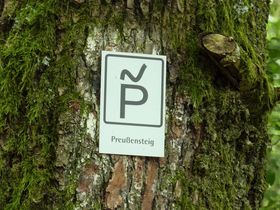 Das Musikantenland-entdecken | 4 Tage in der Pfalz