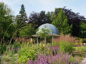 Kurz mal raus in den Thüringer Wald
