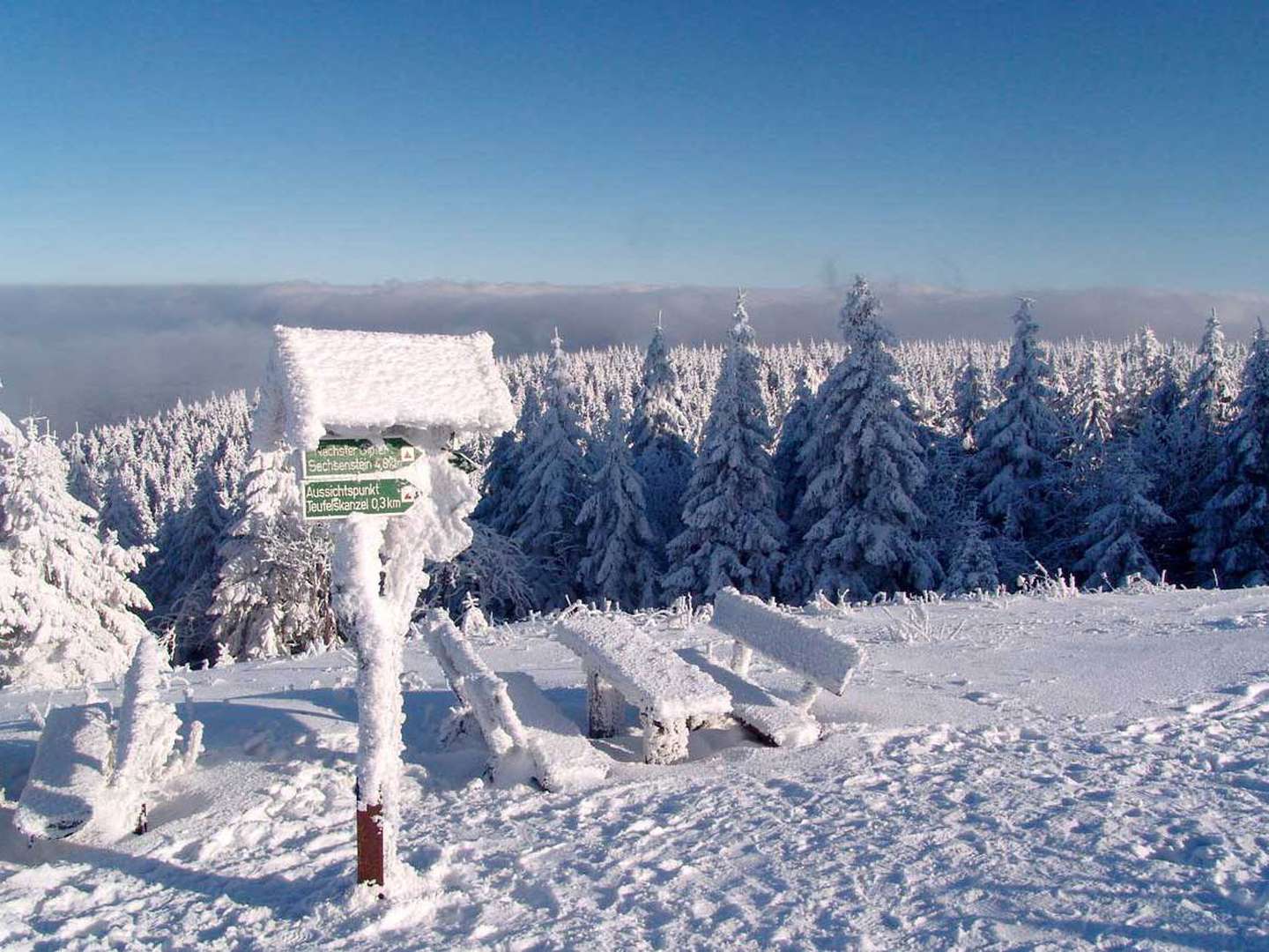 Meine Auszeit im Thüringer Wald