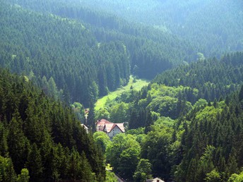 Meine Auszeit im Thüringer Wald