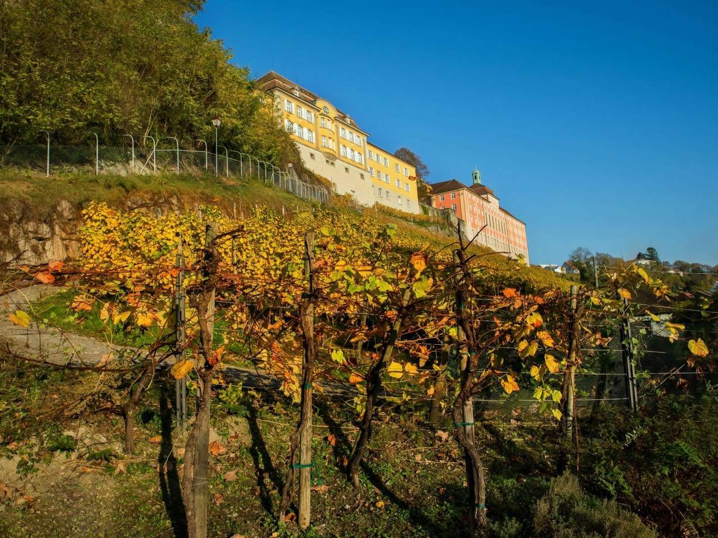 6 Tage Kurzurlaub - den gönn ich mir am Bodensee 