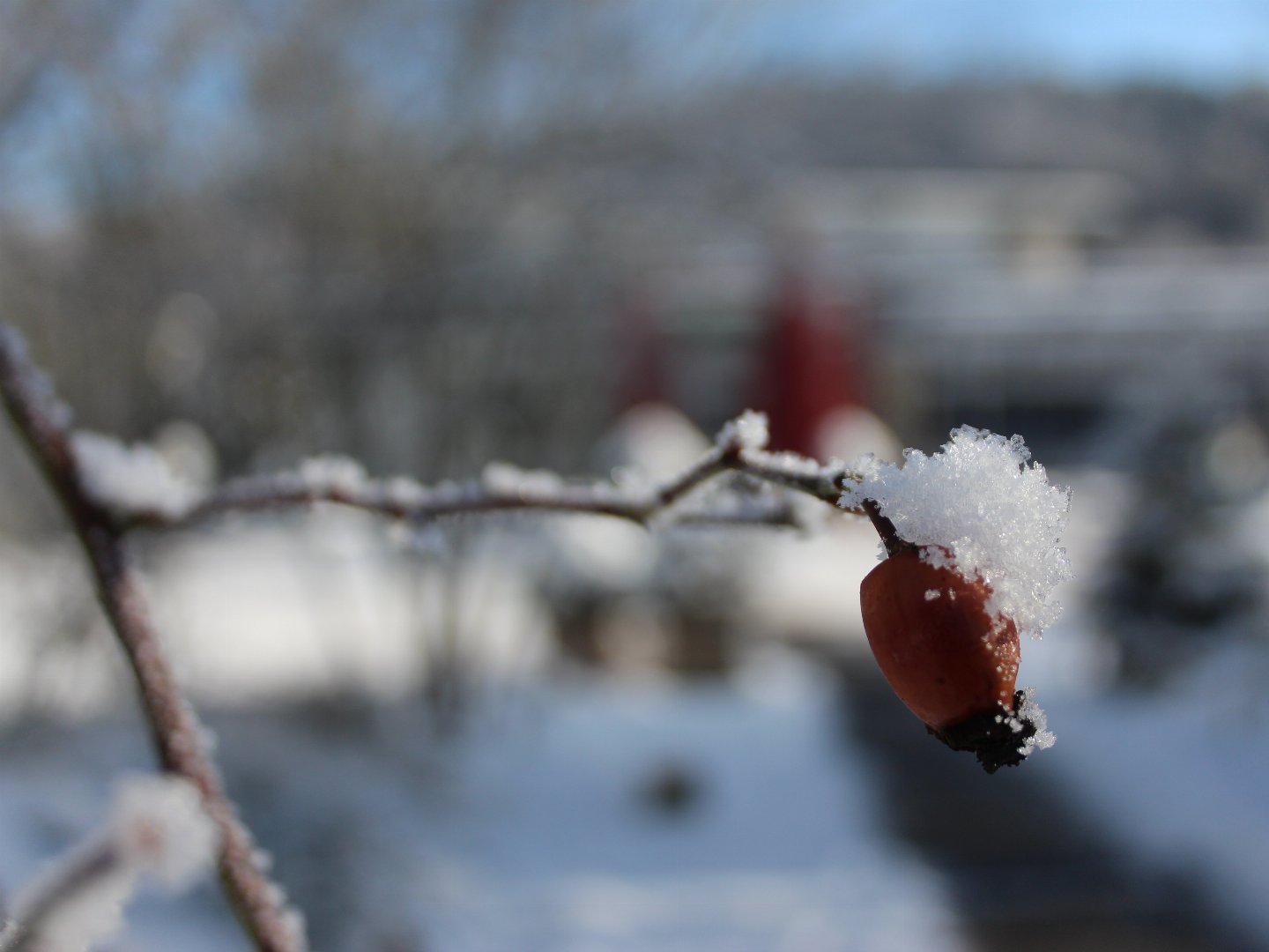 3 Wintertage im Weserbergland 