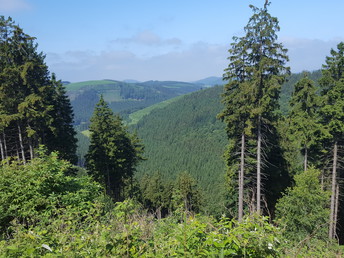 Wanderpauschale im Hochsauerland - 7 Tage  6 ÜN