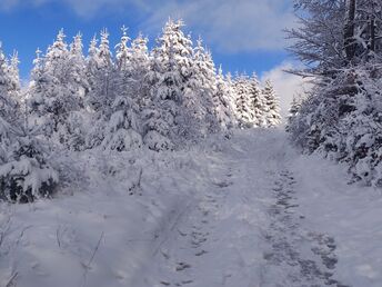 Wanderpauschale im Sauerland inkl. HP | 3 Nächte