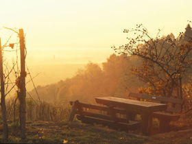 Siebenschläfer mit Halbpension - 8 Tage in Bad Dürkheim in der Pfalz ( Eine Nacht geschenkt)
