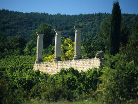 Siebenschläfer mit Halbpension - 8 Tage in Bad Dürkheim in der Pfalz ( Eine Nacht geschenkt)