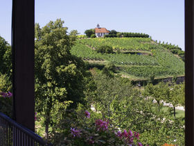 Siebenschläfer mit Halbpension - 8 Tage in Bad Dürkheim in der Pfalz ( Eine Nacht geschenkt)