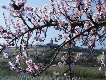 Schönes Wochenende in der Pfalz