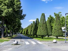 Gesunde Erholung in Bad Füssing - 4 Tage
