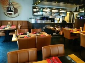 Steak Night Kulinarik | 2 Tage