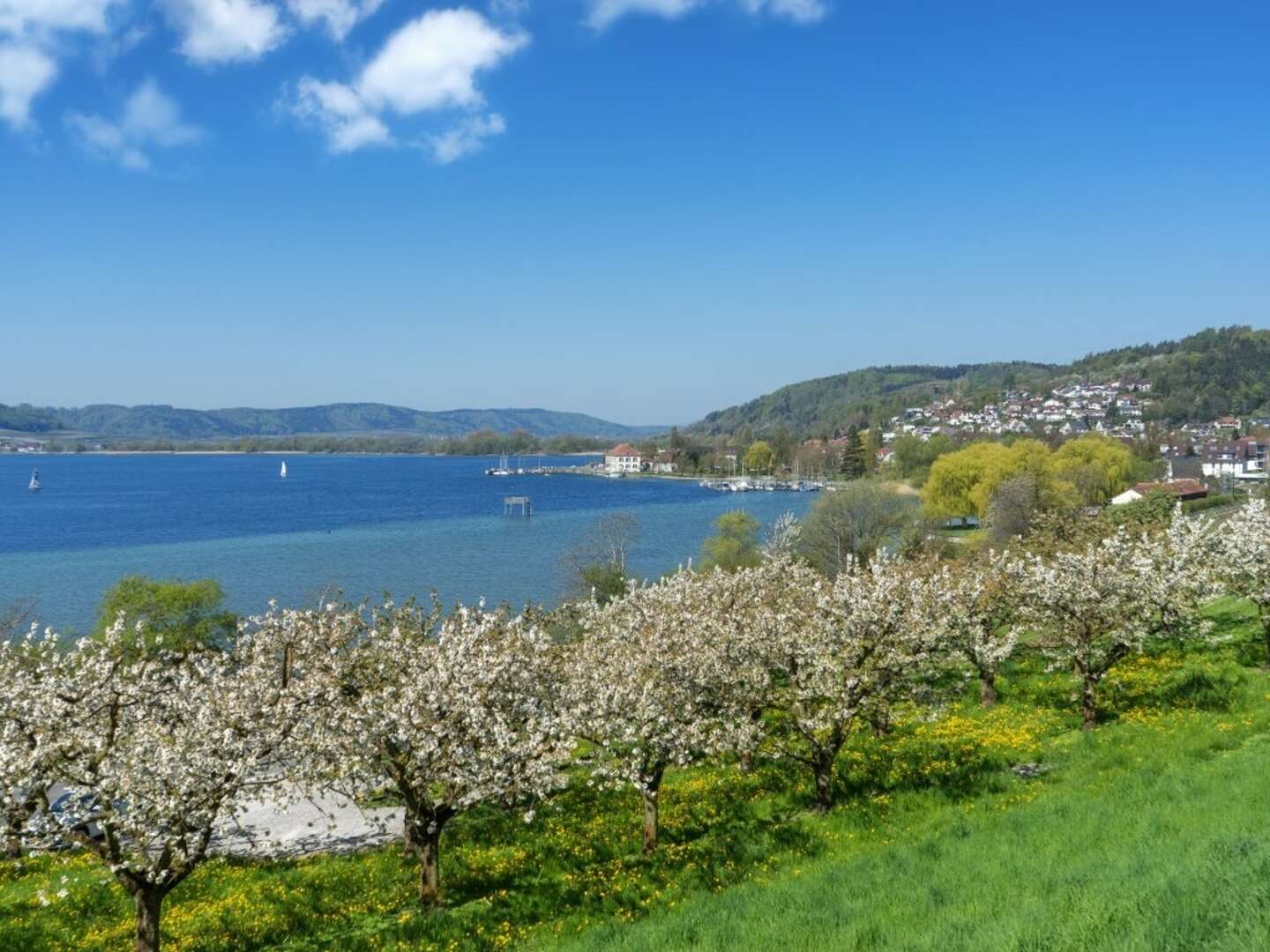  5 Tage Kurzurlaub im Hotel Ochsen - in Bodensee-Nähe