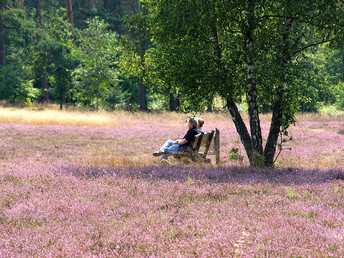 Meeresklima-Wohlfühl-Auszeit in der Lüneburger Heide- 6 Tage