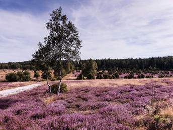 Meeresklima-Wellness-Romantik in der Lüneburger Heide inkl. Salzgrotte & Therme