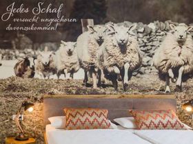 Meeresklima-Wohlfühl-Auszeit in der Lüneburger Heide- 8 Tage