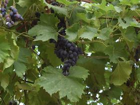 3 Tage - Kleine Auszeit für die Seele inkl. Verwöhntag