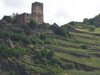 3 Tage - Rheingau in Love inkl. Candlelight Dinner