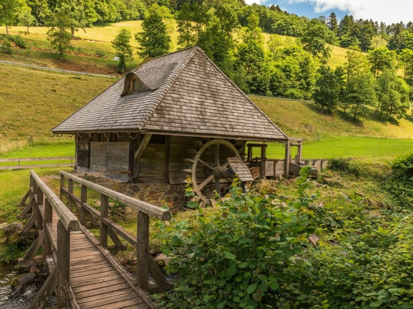 Schnupper - Tag im Schwarzwald