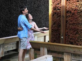 Bad Laer zum Kennenlernen