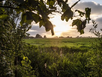 4 Tage Reformationstag an der Nordsee