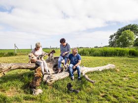 Auszeit an die Nordsee | 5 Tage