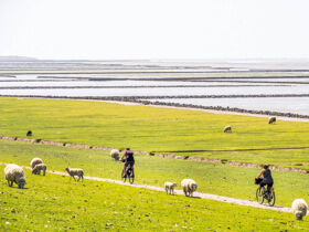 Auszeit an die Nordsee | 5 Tage