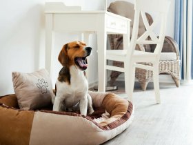 Auszeit an die Nordsee | 5 Tage