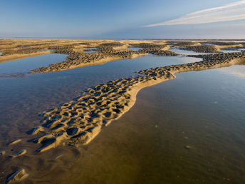 Weltnaturerbe Wattenmeer - Erholung in Büsum | 4 Tage