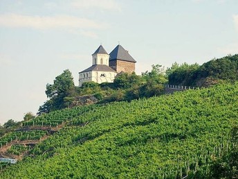 Wandern auf den Traumpfaden 2 Nächte/3 Tage an der Mosel