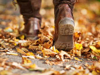 Wandern auf den Traumpfaden 2 Nächte/3 Tage an der Mosel