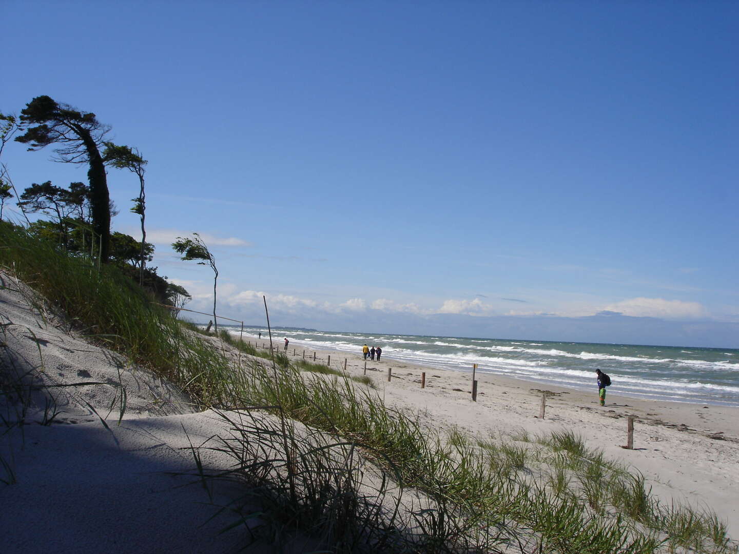 Kurzurlaub im Ostseebad Prerow auf dem Darß