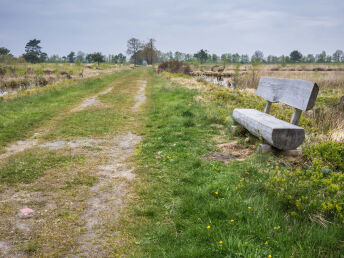  Wanderlust - Wandern zwischen Alfsee und Dümmer