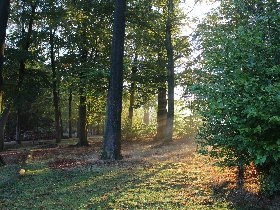 Ein Sonntag im Wald - Entspannung pur