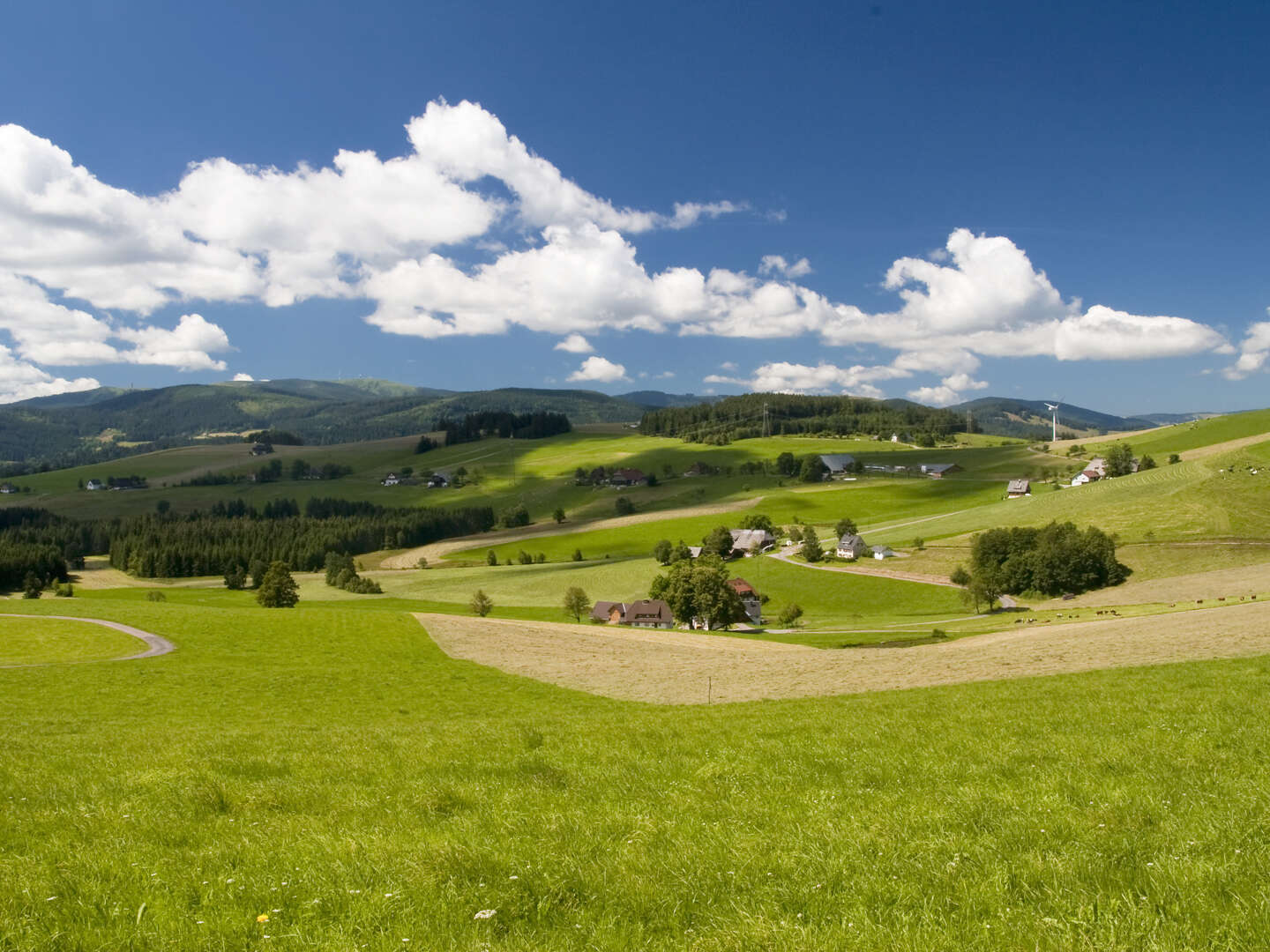 StopOver im Schwarzwald