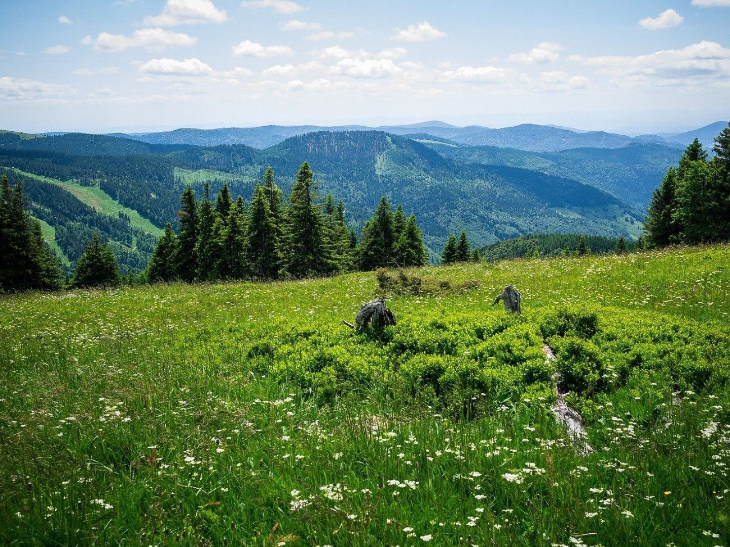 Schwarzwald für Individualisten | 3 Tage  