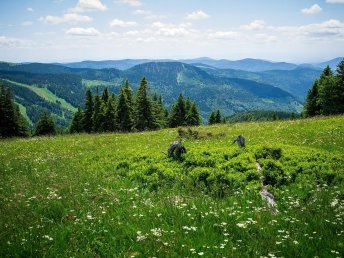 Schwarzwald für Individualisten | 4 Tage   