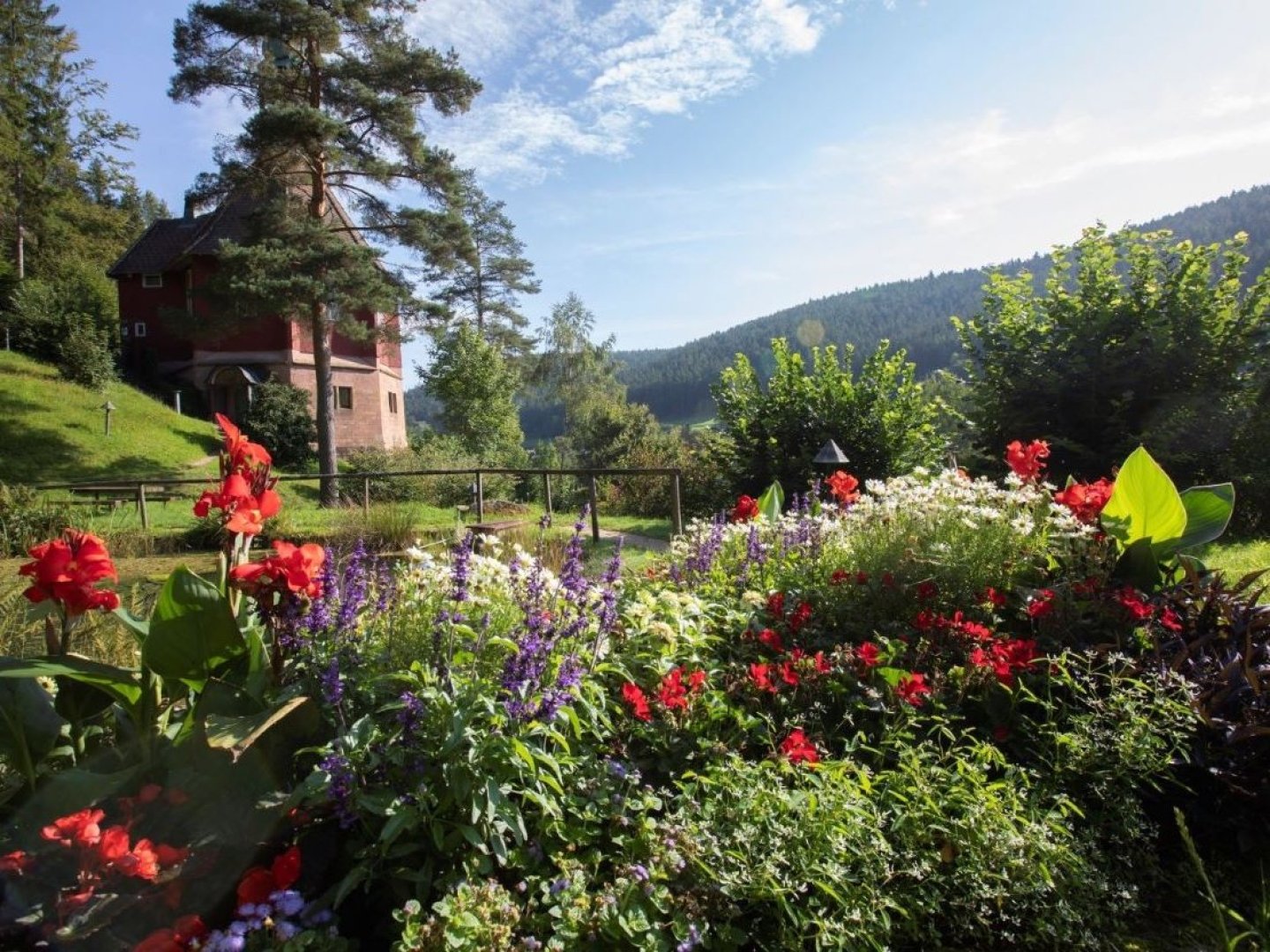 Blühende Auszeit im Schwarzwald - die Gartenschau Freudenstadt | 5 Tage 