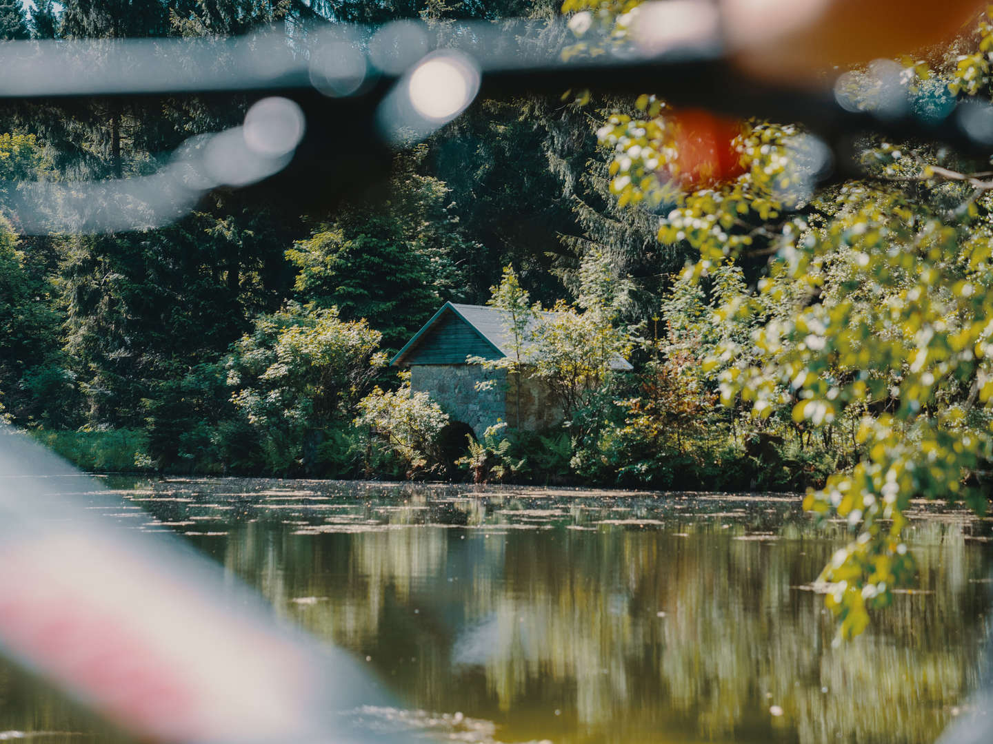 4 Tage - Goldener Herbst im Waldhotel Vogtland