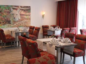 Einfach mal raus in den Harz