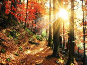 Einfach mal raus in den Harz