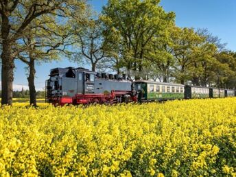 Die Seele baumeln lassen im Ostseebad Binz auf Rügen inkl. Halbpension