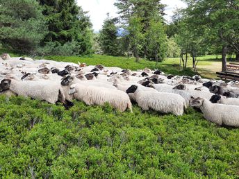 Freundinnentage im Sauerland