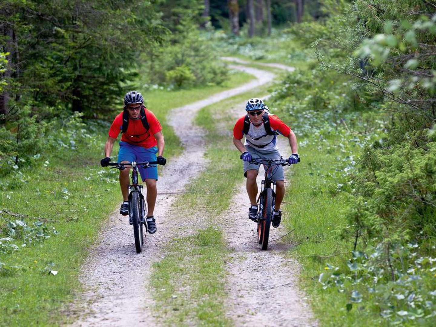 Bikepark Action im Sauerland | inkl. Tagesticket für den Bikepark Willingen 