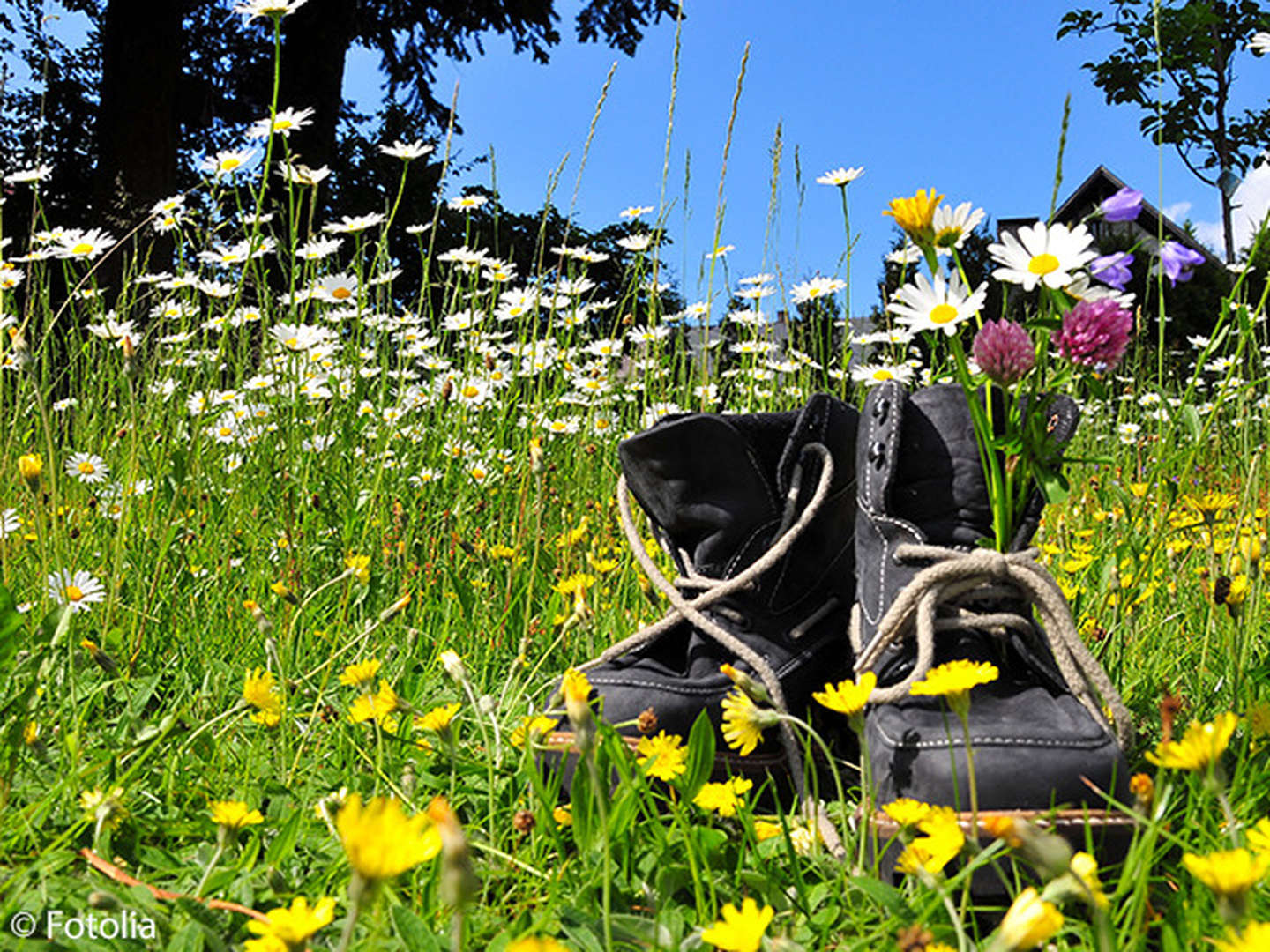 Freundinnentage im Sauerland