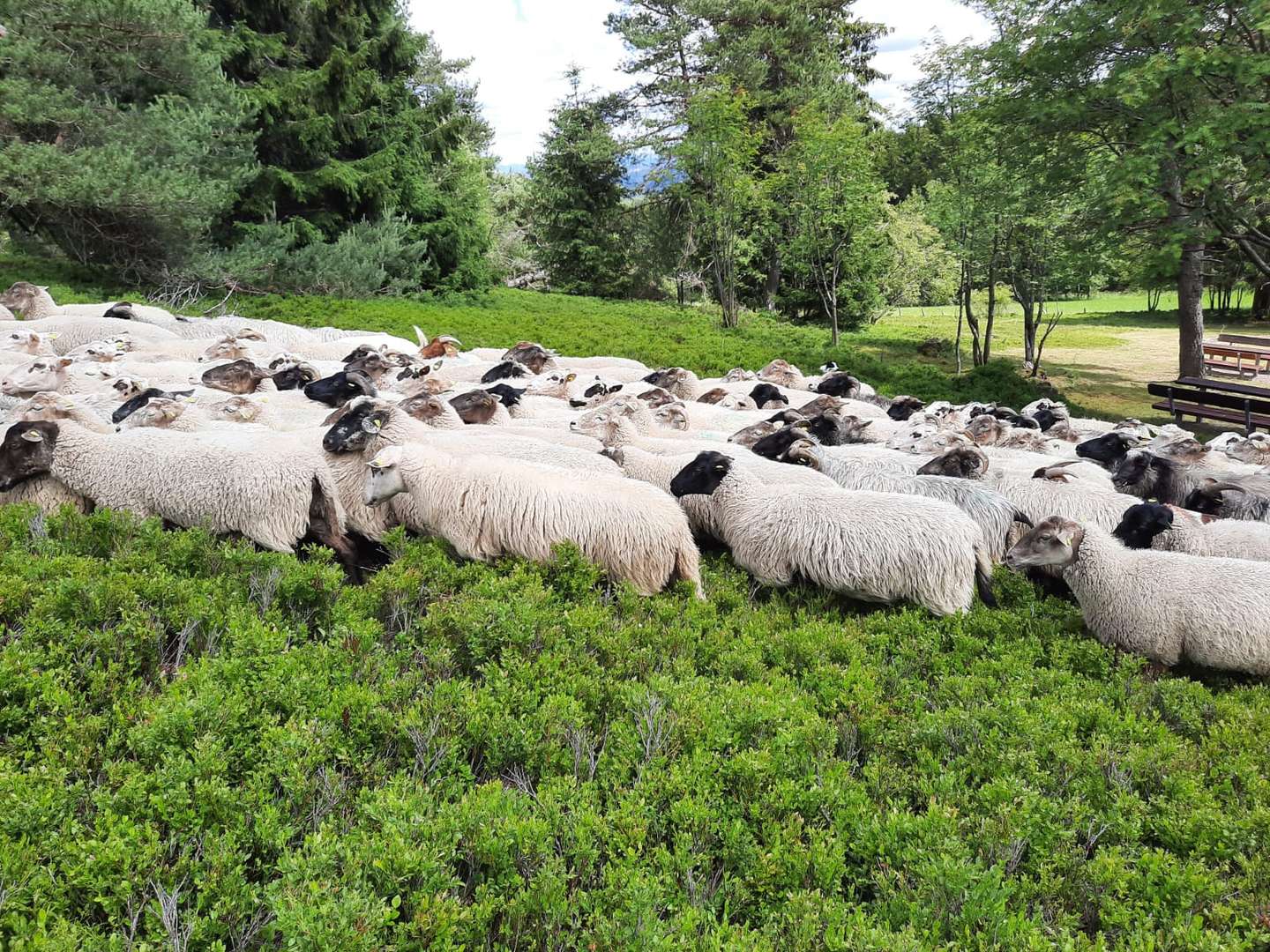 Zweisamkeit & Romantikurlaub im Sauerland in Hessen