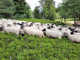Das ist Wanderbar - 4 Tage im Sauerland mit Lunchpaket