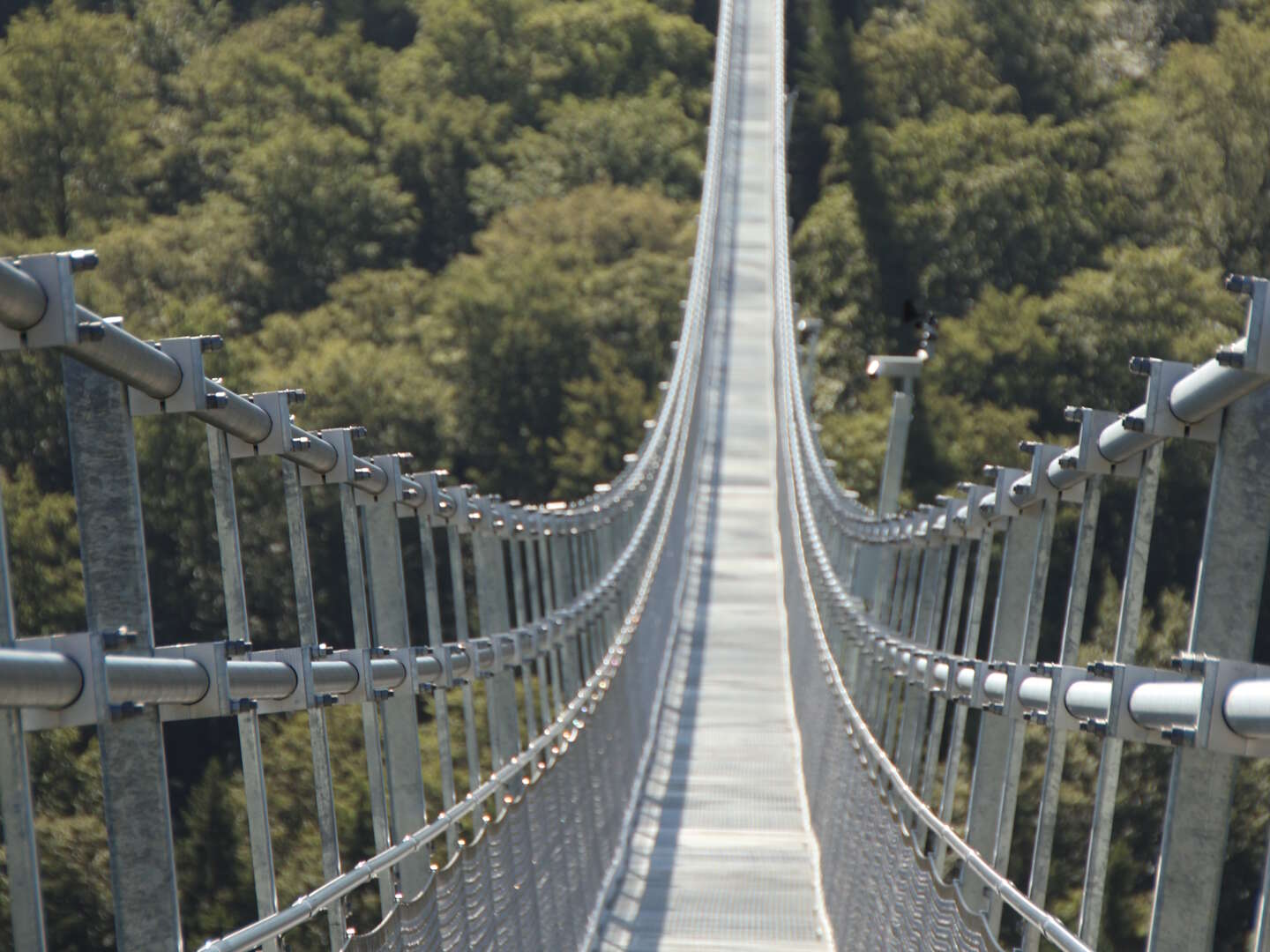 Erlebnis - Skywalk Willingen - 2 Übernachtungen