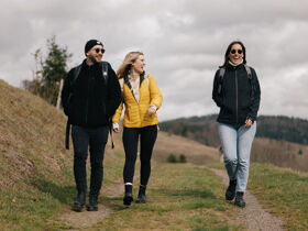 Weihnachtliches rundum-sorglos Arrangement