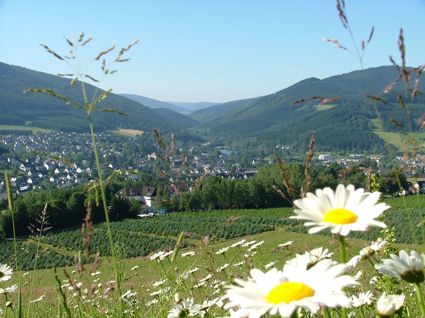 Ana ASLAN Frau für Frau - Verwöhnwochenende für Mädels mit Sekt und Selters