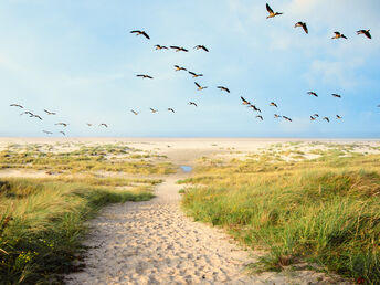 5 Erholungstage im Ferienappartement an der Nordsee inkl. Langeoog