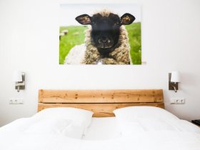 3 Tage Kurzurlaub mit Hund in Hessen inkl. 3 Gang Menü 